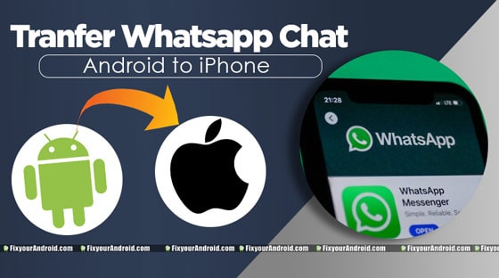 transfer WhatsApp chats between Android and iOS