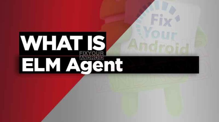 What is ELM Agent