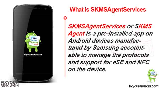 What is SKMSAgentServices