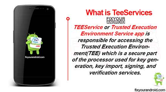 What is TeeServices?