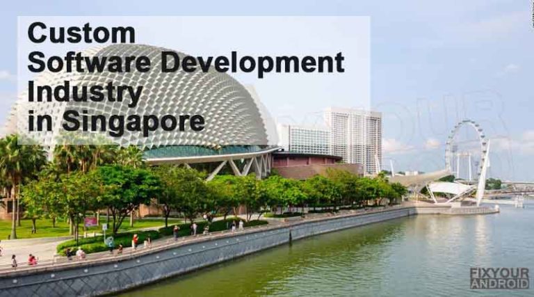 Custom Software Development Industry in Singapore
