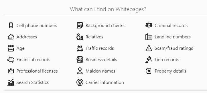Whitepages-reverse number lookup feature