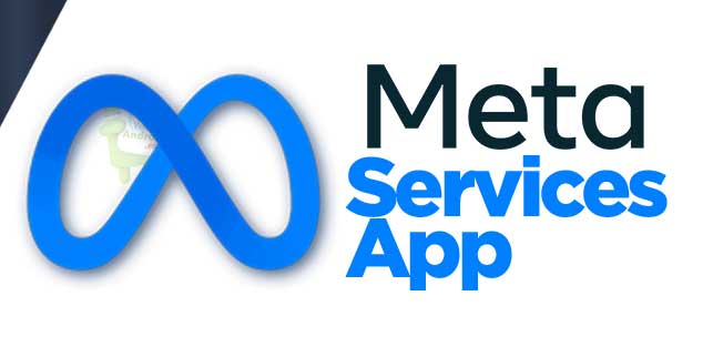 meta services app common issues